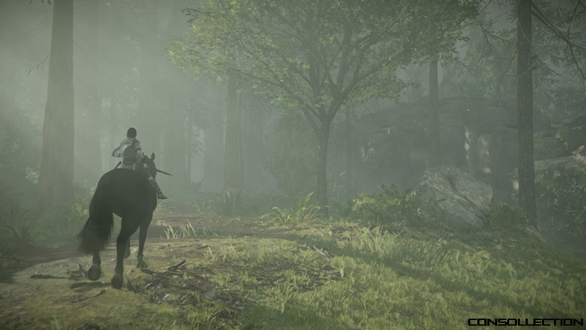 Test De Shadow Of The Colossus Sur Ps Une Oeuvre D Une Grande Finesse