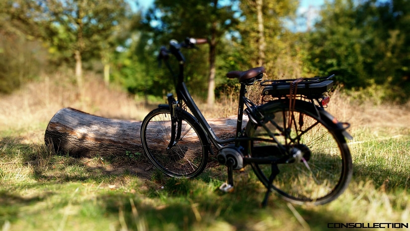 VÃ©lo Ã©lectrique